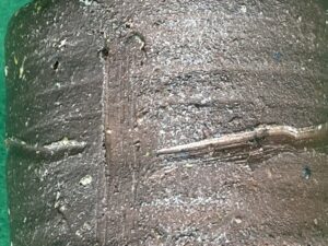 古備前　肩衝茶入