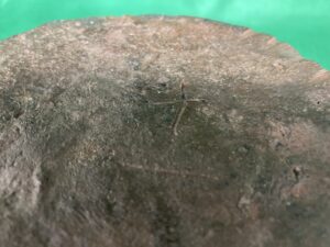 古備前　旅枕花入　底