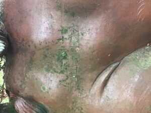 石蓮寺日吉神社　狛犬