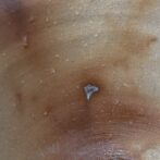 備前焼　カフェカップ　緋襷